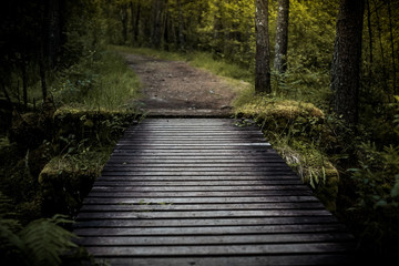 Bridge over the waterfall in Forest in a dark color. Gloomy forest at dusk with a small wooden bridge