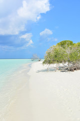 Fototapeta na wymiar White tropical beach in Maldives
