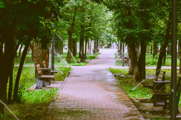 Green city park with trees and benches at early morning