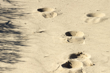 Footprints on yellow sand 
