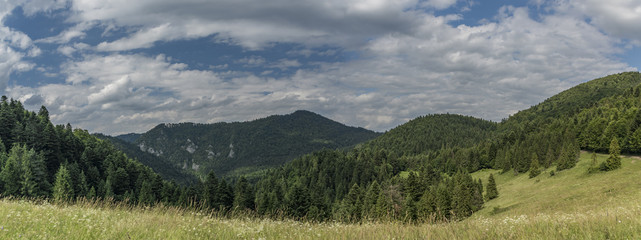 Sunny summer day over Lesnica village