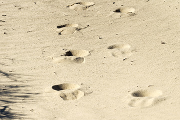 Footprints on yellow sand 
