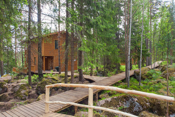 Fototapeta na wymiar Wooden paths in the spring forest of Karelia