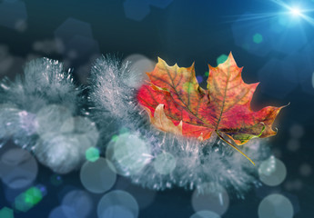 Beautiful yellow red green autumn maple leaf on a Christmas garland of tinsel with a nice blurred bokeh and soft blue background. ..