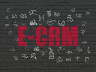 Business concept: E-CRM on wall background