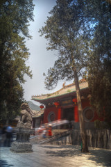 Shaolin is a Buddhist monastery