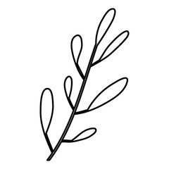sketch contour of hand drawing closeup leaf oval shape with several ramifications