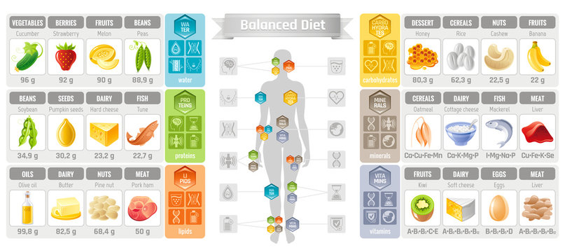 Healthy Diet Food, Balance Nutrition Plate. Vector Health Meal Chart  Infographic, Diet Plan Concept Stock Vector - Illustration of health,  concept: 147323252