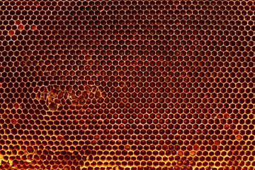 Background texture and pattern of a section of wax honeycomb