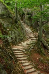 Path in mountains to old castle in Poland