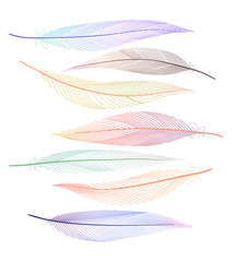 Colorful stripe line feather