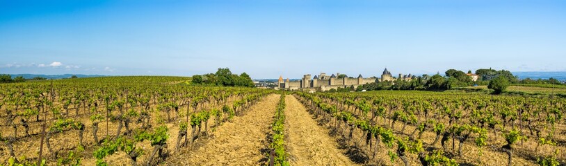 Fototapeta na wymiar Carcassonne fortress, France