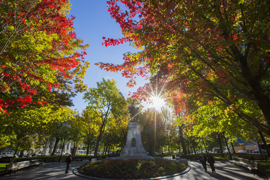 Montreal, Dorchester Square, In Autumn