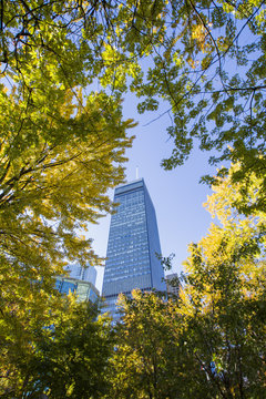 Montreal, Dorchester Square, In Autumn