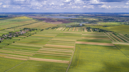 aerial view agriculture field summer day. Summer day landscape. 