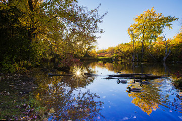 Obraz premium Park in October light