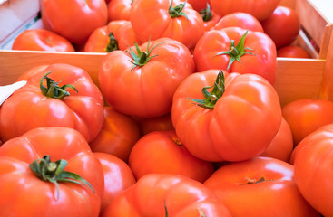 Organic fresh red tomatoes sold at local market in Provence region. France
