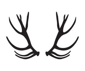 Obraz premium black silhouette of deer antlers
