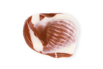 chocolate seashells on white background