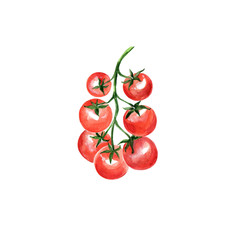 Cherry Tomato