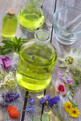 Herbal therapy and aromathrapy concept: alternative treatment with fresh medicinal herbs and flowers on old cracked paint wooden background