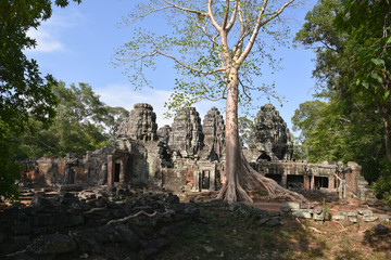 Fototapeta premium Ruines d'Angkor