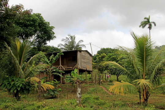 Typical house in the nicaraguan jungle, Nicaragua, Central America