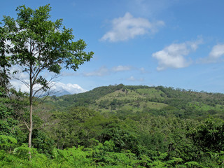 Fototapeta na wymiar Tree, meadows and mountains in the Costa Rica highlands, Central America
