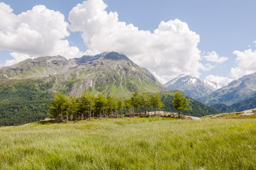 Fototapeta premium Maloja, Via Engiadina, Wanderweg, Höhenweg, Grevasalvas, Oberengadin, Alpen, Graubünden, Sommer, Schweiz