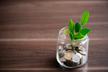 Saving money in future. finance and business man