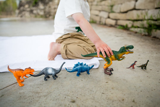 Boy playing with toy dinosaurs outdoors