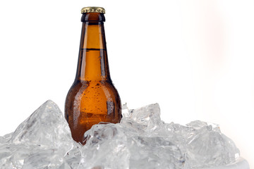 Cider in ice. Close up. White background