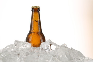 Beer in ice. Close up. White background