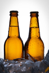 Two bottles of beer in ice cubes. Close up. White background