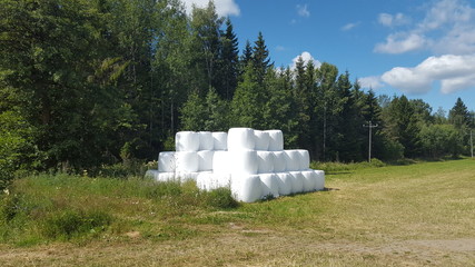 Hay bales in Finland