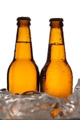 Two bottles of cider in ice cubes. Close up. White background