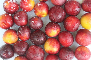 Plums on the table