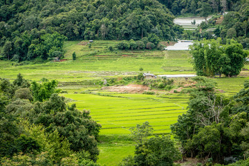 High angle view of Rice fields and mountains.