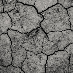 Desert Texture