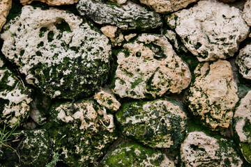 Old concrete wall as background. concrete wall background texture and mold