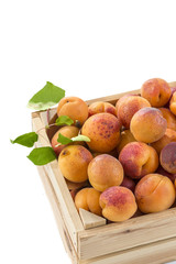 Top view wood box with apricots on a white background