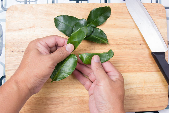 Chef Shred Kaffir Lime Leaves By Hand.