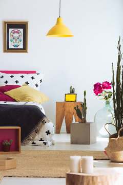 Folk modern bedroom with cactus