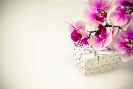 Gift box on a background of purple orchids 