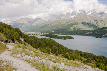 Fototapeta na wymiar Sils, Via Engiadina, Wanderweg, Höhenweg, Silsersee, Seenplatte, Oberengadin, Alpen, Graubünden, Sommer, Schweiz