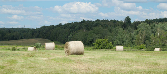 farm hay bales country field meadow landscape agriculture panorama rural pasture