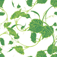Seamless Wallpaper. Grapevine seamless pattern