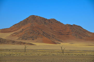 Fototapeta na wymiar NAMIBIA - Sandwüsten dieser Erde