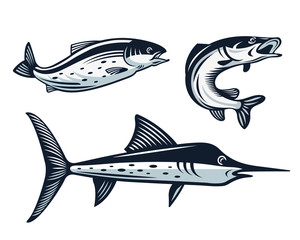 Vintage Fish Logo Set Illustration