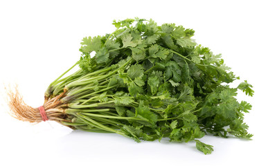 fresh coriander leaves on white background